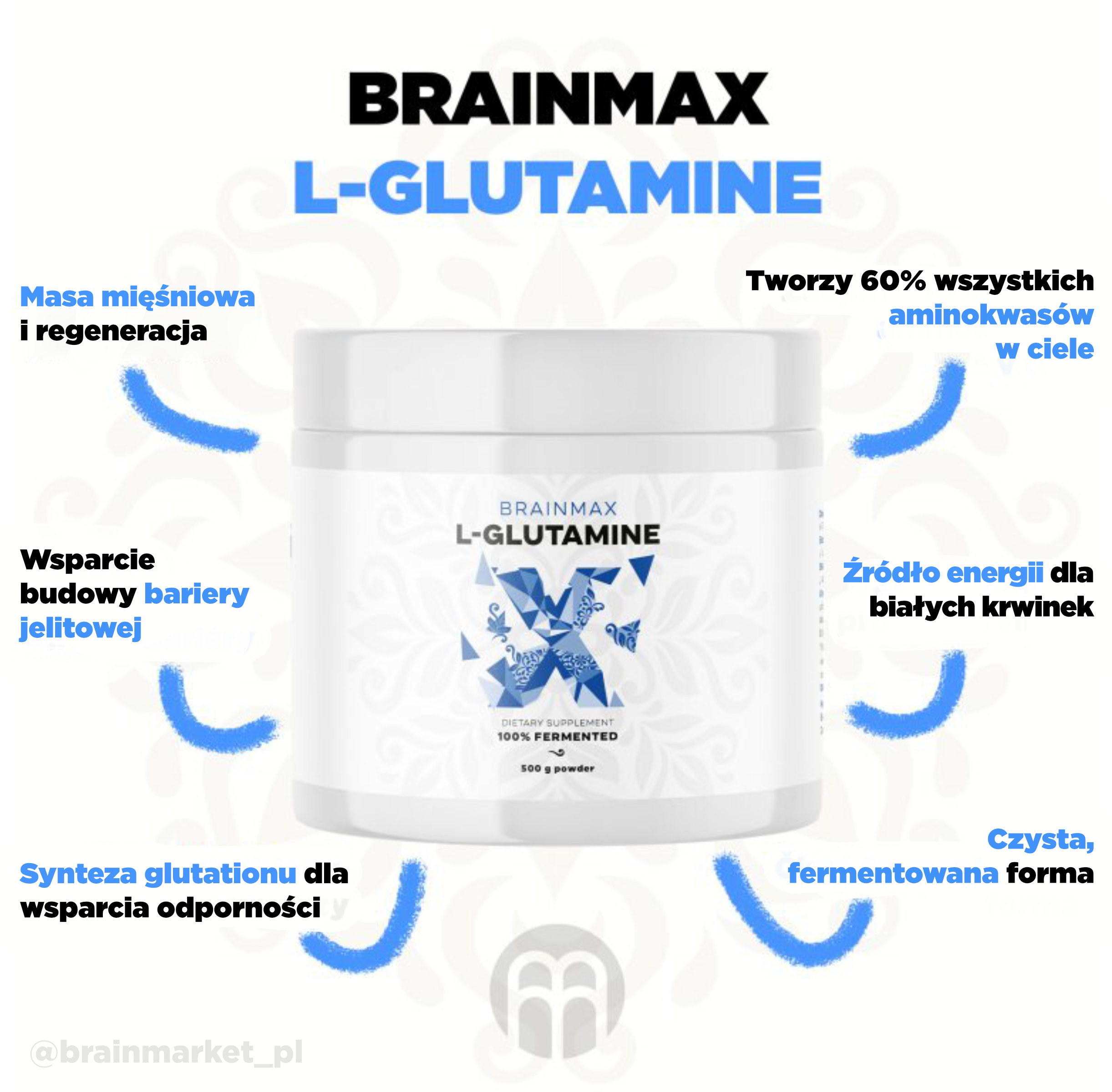 L-glutamin_pavouk_pl